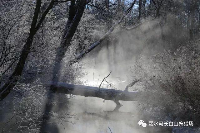 五彩斑斓的线