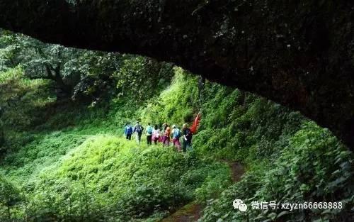 小艾比当海军