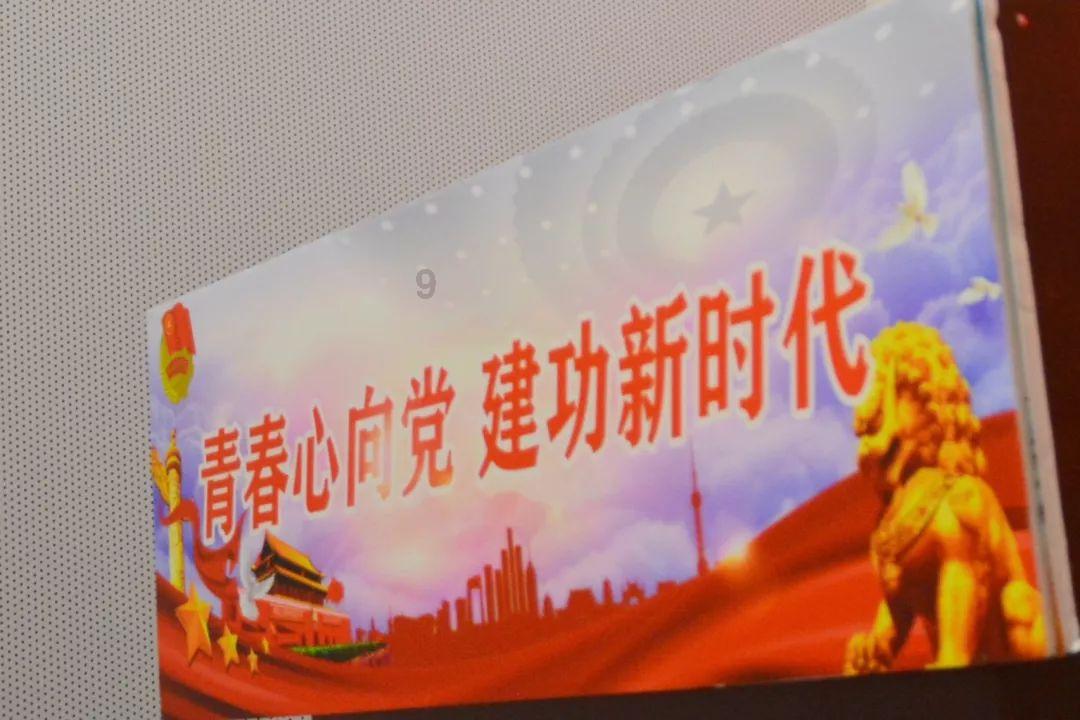 救援受困的小野猫